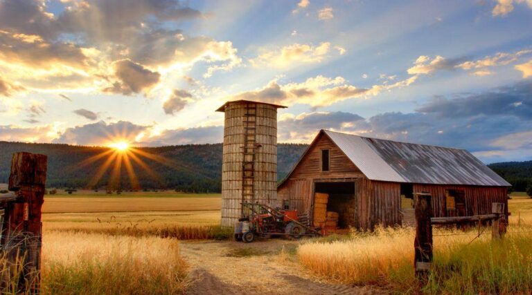 3 Types of Direct Farm Ownership Loans That You Should Know About
