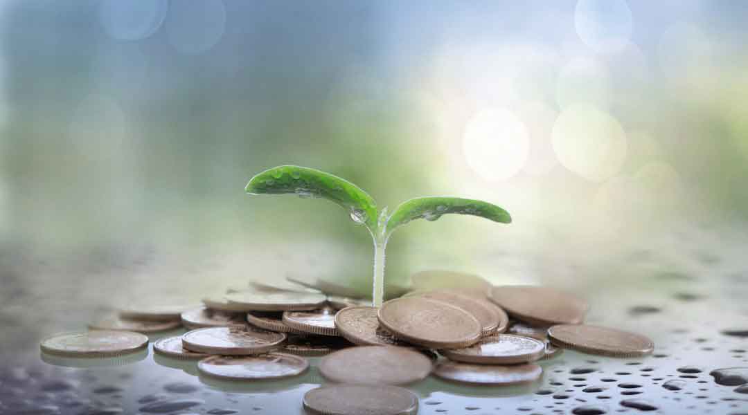 The Importance of Financial Planning for Farmers